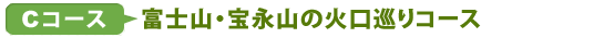 Cコース