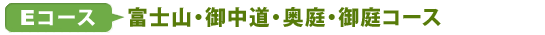 Eコース